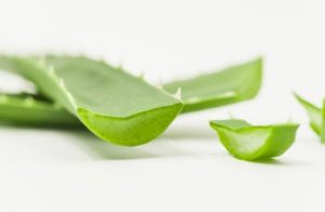 Aloe vera on face before and after uses - Item guides & reviews